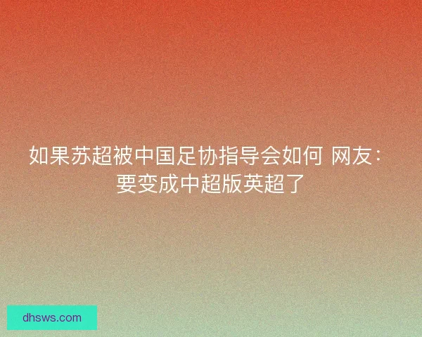 如果苏超被中国足协指导会如何 网友：要变成中超版英超了